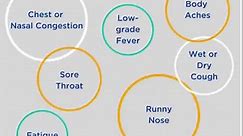 7 Signs of an Upper Respiratory Infection