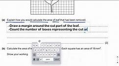 Square grid | Area calculation | Practical skills | O & A Level Biology