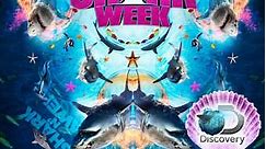 Shark Week: 2016 Episode 0 Anthony Jeselnik and Jeff Kurr