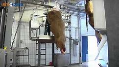 Slachthuis baalt van negatieve berichtgeving over vlees - RTV Noord