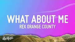 Rex Orange County - What About Me (Lyrics)