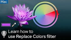 How to use the Replace Color filter for precise image editing | Mac