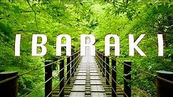 Ibaraki: Ever-Changing Beauty [4K Japan Cinematic]
