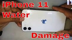 How to Fix iPhone 11 Water Damage Repair