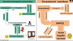 Paracetamol (Acetaminophen) hepatotoxicity and its management.