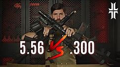 300 Blackout VS. 5.56 | WHY and WHEN you need them