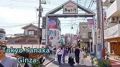 Exploring Hidden Charm Of Tokyo's Yanaka Shopping Street!