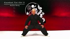 Tai chi combat tai chi chuan fight style use chen tai chi – lesson 14 - video Dailymotion