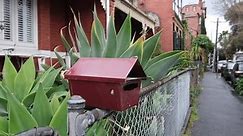 A metal mailbox placed on mesh fence with a blurry background of Victorian-era old houses on a suburban street. Concept of a Australian home address, residential neighbourhood and postal services.