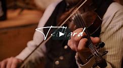 SoundStill Presents: Teilhard