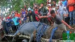 Lolong: World's Largest Crocodile in Captivity,  Philippines - Gets Guinness World Record