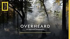 This Indigenous Practice Fights Fire with Fire | Podcast | Overheard at National Geographic