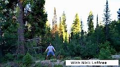 Qigong for Empaths and Healers - Protection and Resilience with Nick Loffree (YMAA)