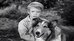Lassie | Lassie's Decision | Full Episodes | Old Cartoons | Videos For Kids 🐕