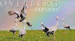 The Best of South Africa’s most beautiful Overberg region western cape. Unbelievable Biodiversity