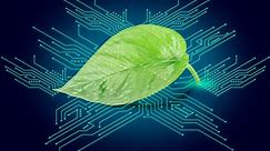 Sustainability in the electronics industry – A hot topic in 2022 and beyond - Valor