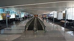 Memphis International Airport (MEM) Modernized Concourse Flythrough