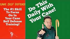 Cane Self Defense: The #1 Skill To Focus On In Your Cane Training!