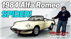 1984 Alfa Romeo Spider! For Sale at Fast Lane Classic Cars!