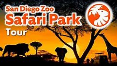 San Diego Zoo Safari Park: Full Tour & Tips