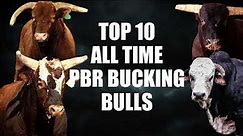 Top ten PBR bucking bulls of all time
