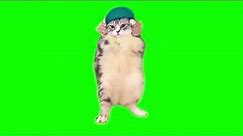 Green Screen Dancing Cat Meme