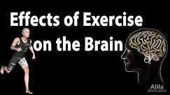 Effects of Exercise on the Brain, Animation