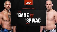 UFC Fight Night: Gane vs Spivak Highlights