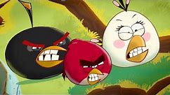 Angry Birds Toons - Season 1: Teaser