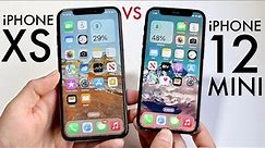 iPhone 12 Mini Vs iPhone XS In 2024! (Comparison) (Review)