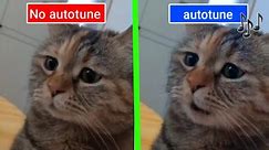 Sad Cat Meowing Original vs Autotune edit