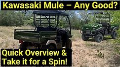 Kawasaki Mule SX ● Quick Overview and Take it for a Spin!