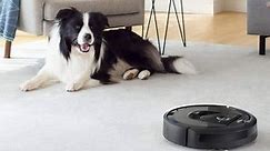 The 5 best robot vacuums for pet hair in 2024
