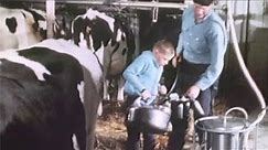 Farm Family In Autumn (1967)