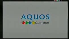 Quảng cáo TV Sharp Aquos Quattron - Con hải mã ửng vàng (2010)