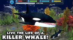 Orca Simulator By Gluten Free Games -Compatible with iPhone, iPad, and iPod touch, Android