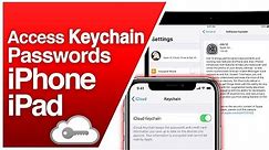 How To Access iCloud Keychain Password iPhone & iPad (iOS)