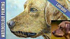Labrador in Watercolour with Paul Hopkinson