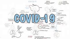 **COVID-19** a visual summary of the new coronavirus pandemic