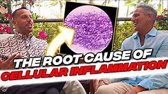 Dr. Pompa | The Root Cause of Cellular Inflammation