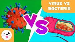 Viruses Vs. Bacteria - What are their differences?