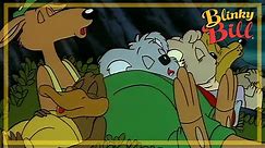 BLINKY BILL AND THE FEUD - Episode 17 - Season 2 - The Adventures of Blinky Bill