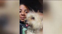 Atlanta family recovers stolen car with AirTag device, continues to search for family dog