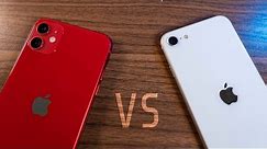 iPhone 11 vs iPhone SE (2020) Comparison - The Better Value?