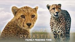 Cheetah Cub Learns To Survive | Dynasties II | BBC Earth