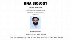 RNA Processing and Life Cycle: RNA Splicing