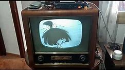 television antigua marca philips