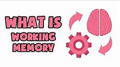 What is Working Memory | Explained in 2 min