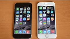 iPhone 6 white versus black hands-on