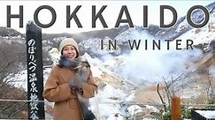 What to do in Hokkaido in Winter